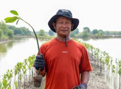 Tanam 10.000 Pohon Mangrove di Muara Gembong, BRI Gandeng Kelompok Tani Setempat 