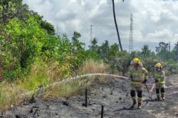 Cegah Karhutla Meluas, BNPB Gelar Operasi Modifikasi Cuaca di Riau, Sumbar dan Kalbar<