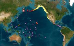 Tsunami 1,3 Meter Terpantau di Hawaii Pasca-Gempa Rusia, Status Bahaya Diturunkan