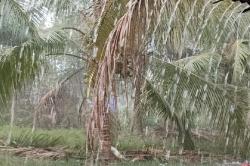 Usai Doa Bersama Hujan Deras Guyur Rokan Hulu, Warga dan Petugas Harap Karhutla Padam
