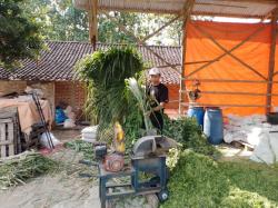 KUR BRI Dorong Peternak Lokal Ponorogo Ekspansi ke Beberapa Daerah
