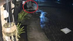 Terungkap Motif WNA asal Australia Mengamuk di Gianyar, Depresi<