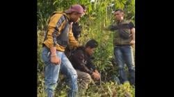 Nekat Tanam Ganja di Kebun Kopi, Petani di Lebong Bengkulu Ditangkap Polisi<