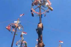Serunya Panjat Pinang 15 Meter HUT ke-80 RI di Semarang, 14 Tim Berebut Juara<