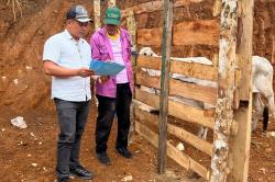 Legislator Perindo Yusuf Bora Beri Bantuan 11 Sapi, Warga Sumba Barat Daya Bersyukur<
