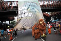 Peringatan Hari Orangutan Sedunia 2025
