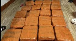 Polda Lampung Gagalkan Penyelundupan Ganja 40 Kg asal Padang, 1 Orang Ditangkap<