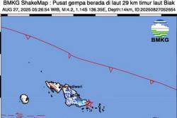 Gempa Terkini Magnitudo 4,2 Guncang Biak Numfor Papua, Getaran Terasa Cukup Kuat