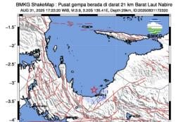 Gempa Terkini 2 Menit yang Lalu M 3,9 Guncang Nabire, Pusat di Darat<