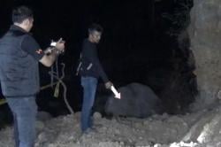 Longsor Tambang Batu di Ponorogo, 2 Orang Kakak Adik Tewas Tertimbun<