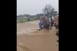 Banjir Bandang Terjang Kantor Pemkab Pesisir Barat, Puluhan Kendaraan Terendam<