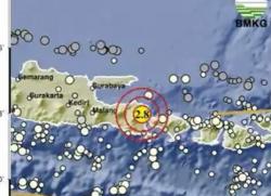 Pusat Gempa Terkini 2 Menit yang Lalu M 2,8 Guncang Banyuwangi<