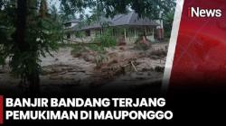 Banjir Bandang Terjang Nagekeo, 3 Orang Tewas 4 Hilang