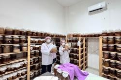 Lewat Program BRILiaN, UMKM Mambucha Siap Go Global