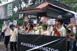 Bandung Zoo Ditutup Sebulan, Pegawai Menjerit dan Desak Pemerintah Turun Tangan<