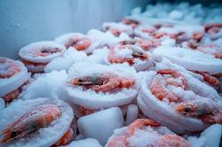 Makan Udang Indonesia Bikin Manusia Jadi Alien? Ini Faktanya!