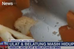 Heboh! Ulat dan Belatung Muncul di Menu MBG  Bangkalan, Siswa SD Trauma