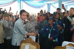 Wapres Gibran Panen Raya Jagung di Banyuasin, Ajak Generasi Muda Perkuat Ketahanan Pangan<