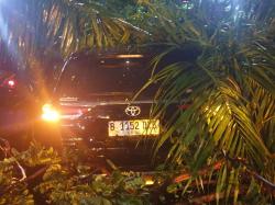 Hujan Deras, Pohon Tumbang Timpa 2 Mobil di Semanggi