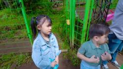 Keseruan Outbound Aletha Abew: Panik di ATV Sampai Happy Bareng Hewan!