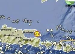 Pusat Gempa Terkini 10 Menit yang Lalu Guncang Situbondo, Cek Magnitudonya<