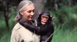 Pemimpin Dunia Berduka Cita Jane Goodall Meninggal, Barack Obama hingga Mark Carney