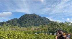 3 Rekomendasi Wisata Alam di Trenggalek, Indahnya Hutan Mangrove hingga Pantai Pasir Putih