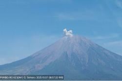 Gunung Semeru Erupsi Hari Ini, Letusan Kolom Abu Capai 500 Meter<