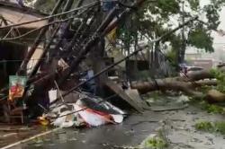 Ngeri! Pohon hingga Tiang Listrik Roboh gegara Hujan Angin di Tangsel