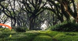 5 Destinasi Wisata di Banyuwang, Liburan Murah Tidak Bikin Kantong Jebol