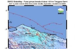 Gempa Hari Ini M5,3 Guncang Sarmi Papua