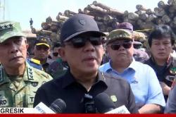 Satgas PKH Sita 4.610 Meter Kubik Kayu Hasil Illegal Logging, Kerugian Negara Rp230 Miliar