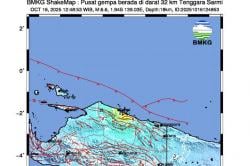 Analisis BMKG Penyebab Gempa Sarmi M6,6, Dipicu Aktivitas Sesar Anjak Mamberamo<