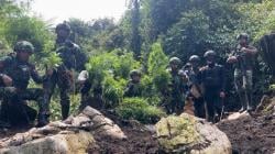 TNI Temukan Ladang Ganja, Tersembunyi di Hutan Oksibil Pegunungan Bintang<