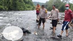 Mayat Pria asal Tasikmalaya Ditemukan Membusuk Tersangkut Bebatuan di Sungai Ogan Sumsel<