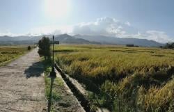 3 Jalur Alternatif ke Kulonprogo Terbaik untuk Menghindari Macet Total di Musim Liburan<