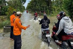 Banjir Grobogan Rendam 2.263 Rumah Warga di 28 Desa<