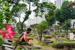 Jakarta Krisis Lahan Pemakaman