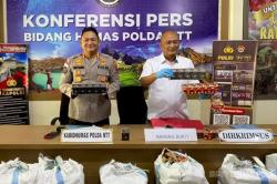 Polda NTT Bongkar Perdagangan Rokok Ilegal di 3 Kabupaten, Ribuan Bungkus Disita<