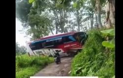 Viral Bus Ziarah Wali Songo Nyasar di Jalan Sempit Pati, Disesatkan Google Maps?<