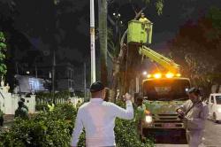 8 Pohon di Pondok Indah Jaksel Ditebang, Dianggap Bahayakan Pengguna Jalan