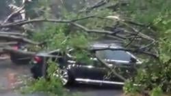 Hujan Deras, Pohon Tumbang Timpa Sejumlah Mobil di Jalan Dharmawangsa Jaksel