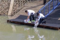 Semangat Melestarikan Lingkungan Hidup di Festival Sungai Cipinang 2025