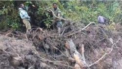 Identitas 15 Orang Hilang Disapu Banjir Bandang dan Longsor di Nduga Papua<