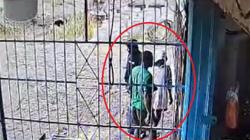 Sadis! KKB Kembali Serang Warga Pendatang di Yahukimo Terekam CCTV<