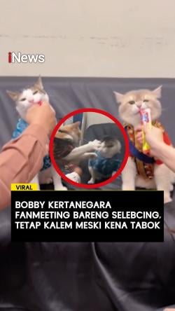 Bobby Kertanegara Fanmeeting Bareng Selebcing Tetap Kalem Meski Kena Tabok