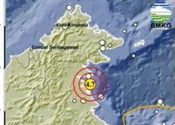 Info BMKG Gempa Terkini M 4,7 Guncang Tarakan Kaltara, Kedalaman 10 Km<