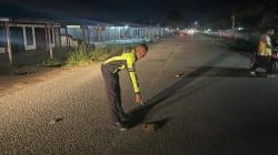 Pejalan Kaki Tewas Jadi Korban Tabrak Lari di Merauke, Pengemudi Mobil Diburu Polisi<