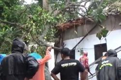 Pohon Tumbang Timpa Rumah di Boyolali, 8 Orang Satu Keluarga Terluka<