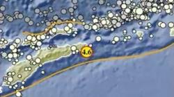 Gempa Bumi Terkini Magnitudo 4,6 Guncang Maluku Barat Daya, Kedalaman 10 Km<